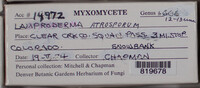Image Associated With the Occurence